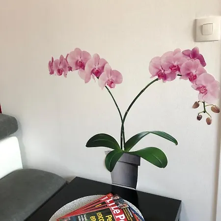 Апартаменты Bedinreims 